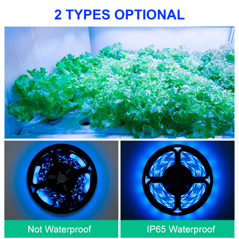 0523M-IP65-Waterproof-LED-Grow-Light-Strip-Plant-Growing-Lamp-Touch-Control-Ice-Blue-Light-1806640-3