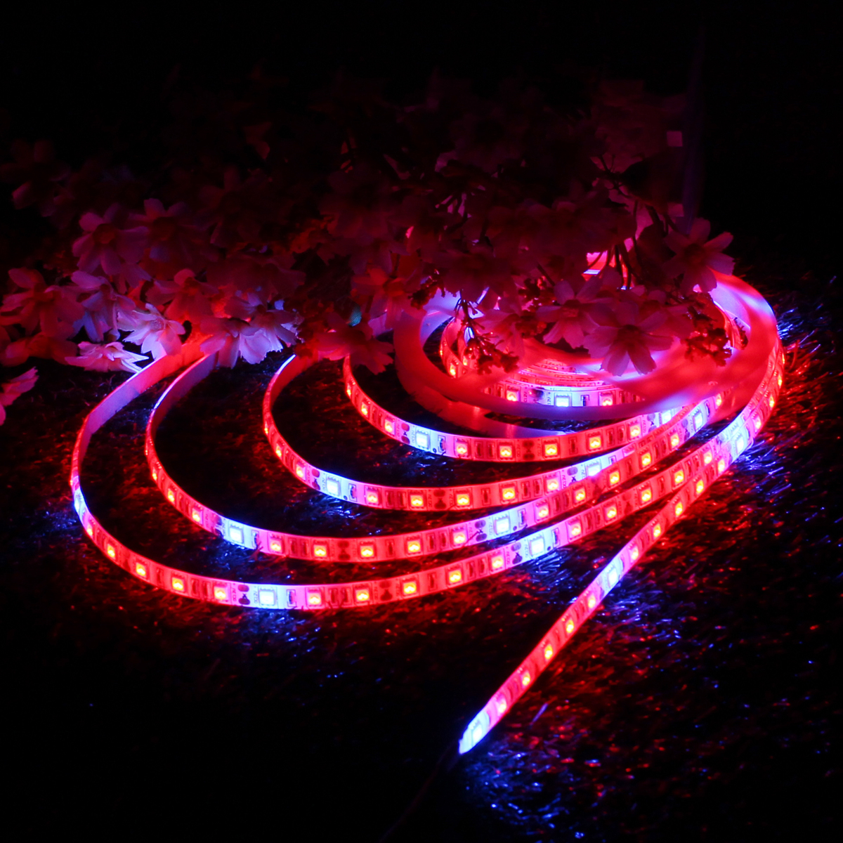 05M1M2M3M4M5M-Waterproof-RedBlue-51-SMD5050-Full-Spectrum-Grow-Plant-LED-Strip-Light-DC12V-1279194-9