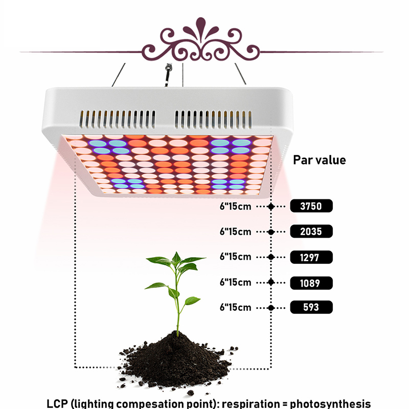 100-LED-Grow-Light-Full-Spectrum-Panel-For-Indoor-Hydro-Veg-Flower-Plant-Lamp-1745085-3