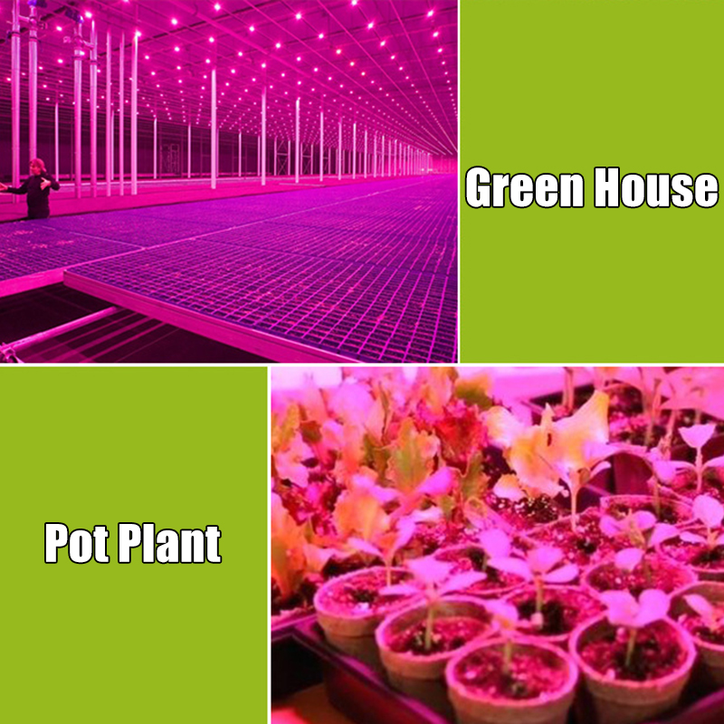1000W-LED-Grow-Light-Full-Spectrum-Growing-Lamp-Honeycomb-Cooling-Plant-growth-Lamp-Led--Effect-Fill-1816394-3