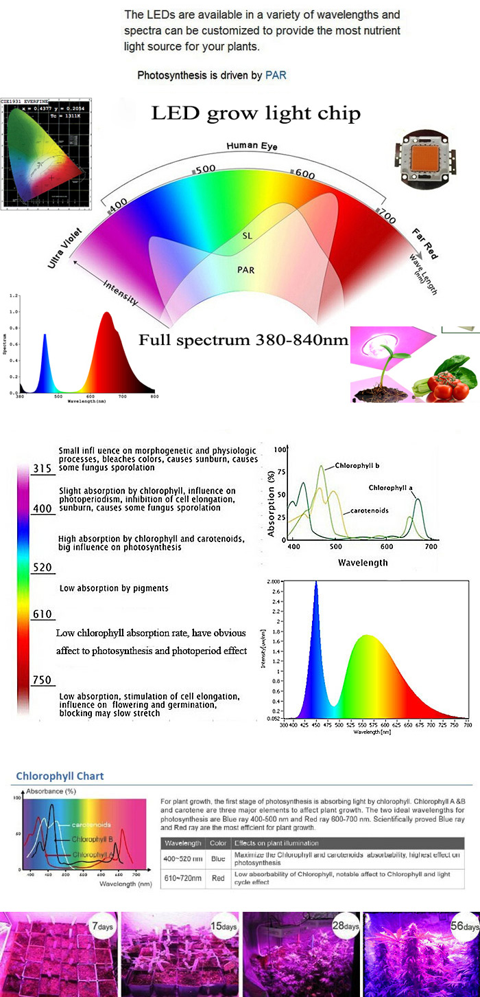 100W-1131Red-234Blue-LED-Grow-Light-Plant-Growing-Lamp-Garden-Greenhouse-Plant-Seedling-Light-1020547-1