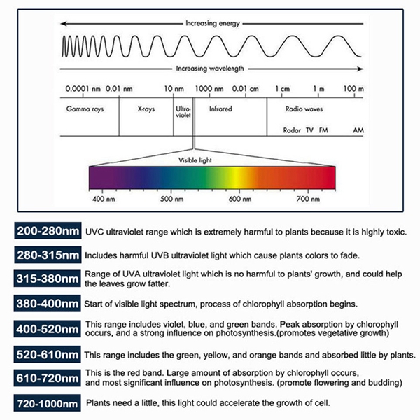 100W-Full-Spectrum-100-LED-Grow-Light-Lamp-for-Plants-Hydroponic-Indoor-Flower-1127629-5