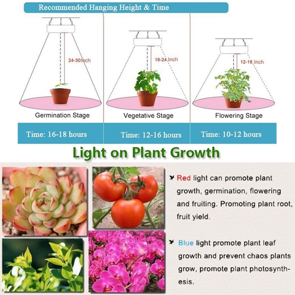 100W-Full-Spectrum-100-LED-Grow-Light-Lamp-for-Plants-Hydroponic-Indoor-Flower-1127629-6