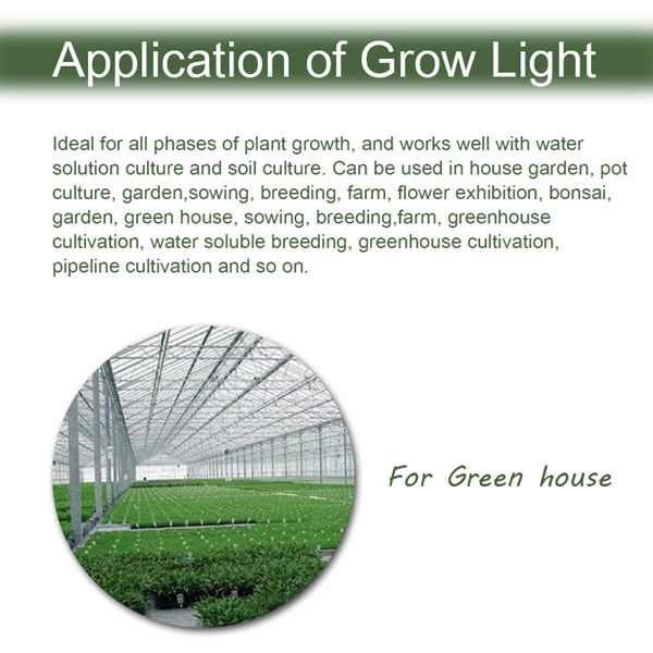 100W-Full-Spectrum-100-LED-Grow-Light-Lamp-for-Plants-Hydroponic-Indoor-Flower-1127629-8