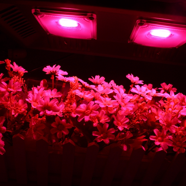 100W-Waterproof-Full-Spectrum-LED-Grow-Light-Double-Head-Hangable-COB-Plant-Lamp-110220V-1291130-1