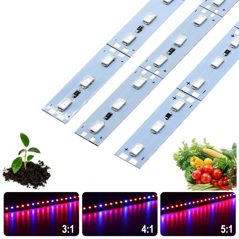 10PCS-50CM-SMD5630-RedBlue-31-41-51-LED-Grow-Rigid-Bar-Strip-for-Hydroponics-Greenhouse-DC12V-1242353-1