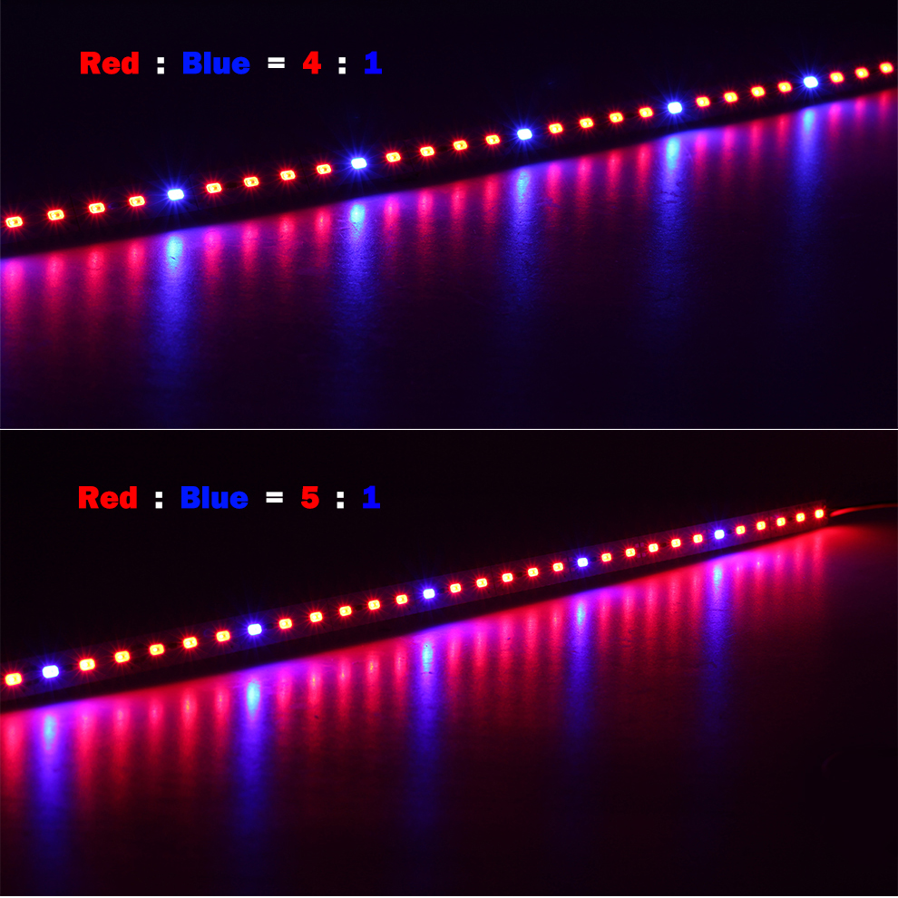 10PCS-50CM-SMD5630-RedBlue-31-41-51-LED-Grow-Rigid-Bar-Strip-for-Hydroponics-Greenhouse-DC12V-1242353-6