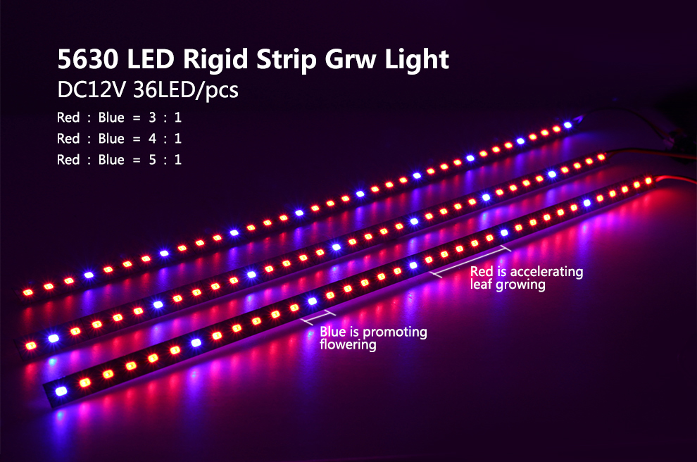 10PCS-50CM-SMD5630-RedBlue-31-41-51-LED-Grow-Rigid-Bar-Strip-for-Hydroponics-Greenhouse-DC12V-1242353-7