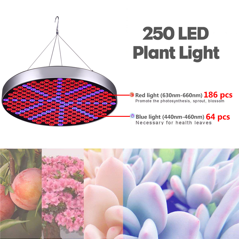1200W-250LED-Round-Plant-Growing-Lamp-Indoor-Greenhouse-Plant-Grow-Light-EU-Plug-1520178-3