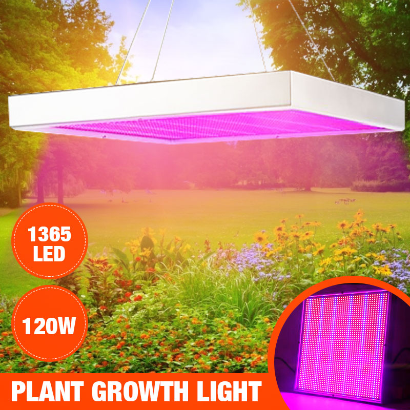 120W-LED-Grow-Light-Hydroponic-Full-Spectrum-Indoor-Veg-Flower-Plant-Lamp-1760802-2