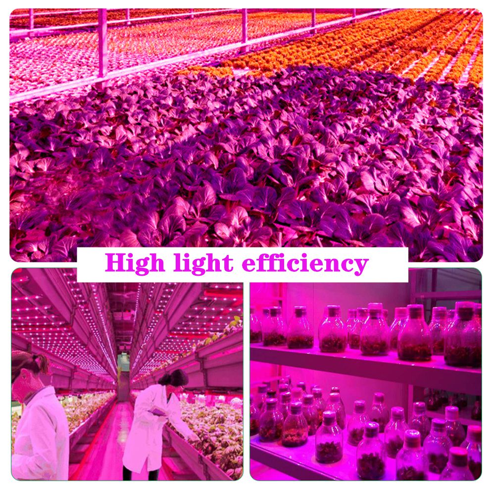 120W-LED-Grow-Light-Hydroponic-Full-Spectrum-Indoor-Veg-Flower-Plant-Lamp-1760802-3
