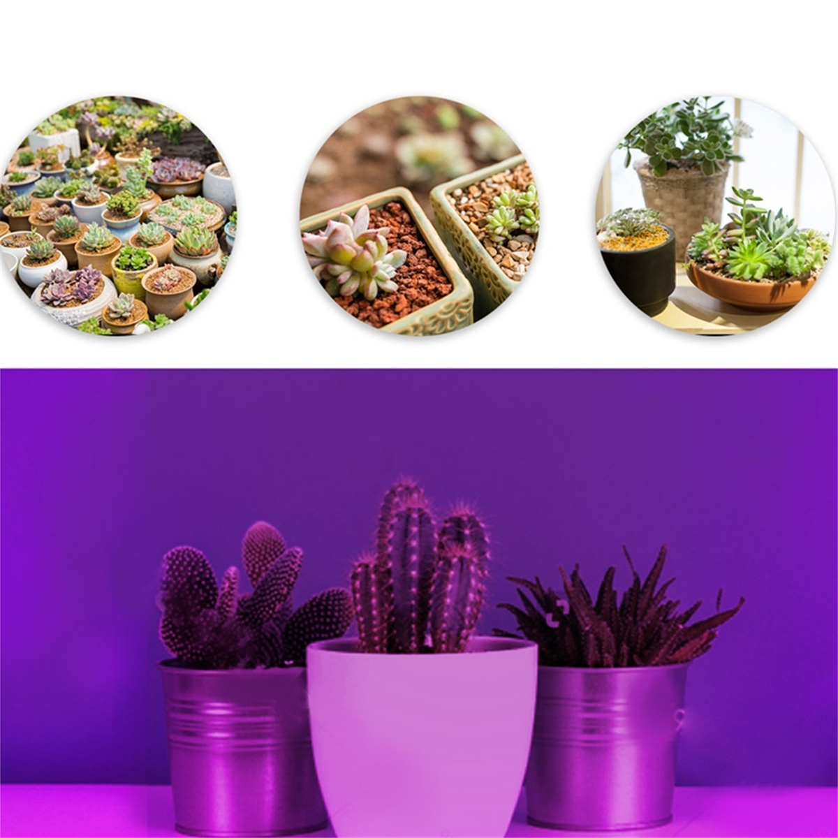 123-Head-Plant-Grow-Light-Head-LED-Lamp-Hydroponics-Greenhouse-Garden-360deg-Flexible-Indoor-Dimmabl-1693745-11