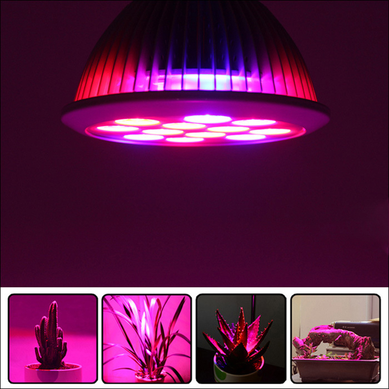 12W-24W-36W-Led-Grow-Light-Full-Spectrum-12-PCS-LED-Growth-Lamp-Ultra-Bulb-For-Plants-All-Stages-1232132-1