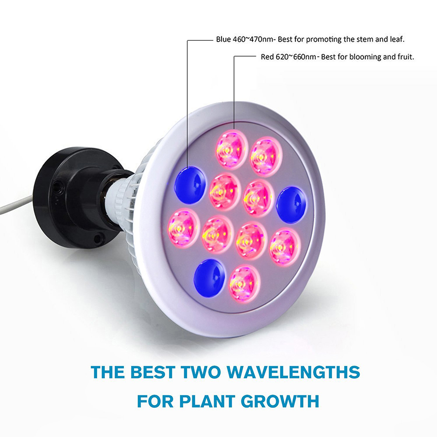 12W-24W-36W-Led-Grow-Light-Full-Spectrum-12-PCS-LED-Growth-Lamp-Ultra-Bulb-For-Plants-All-Stages-1232132-8
