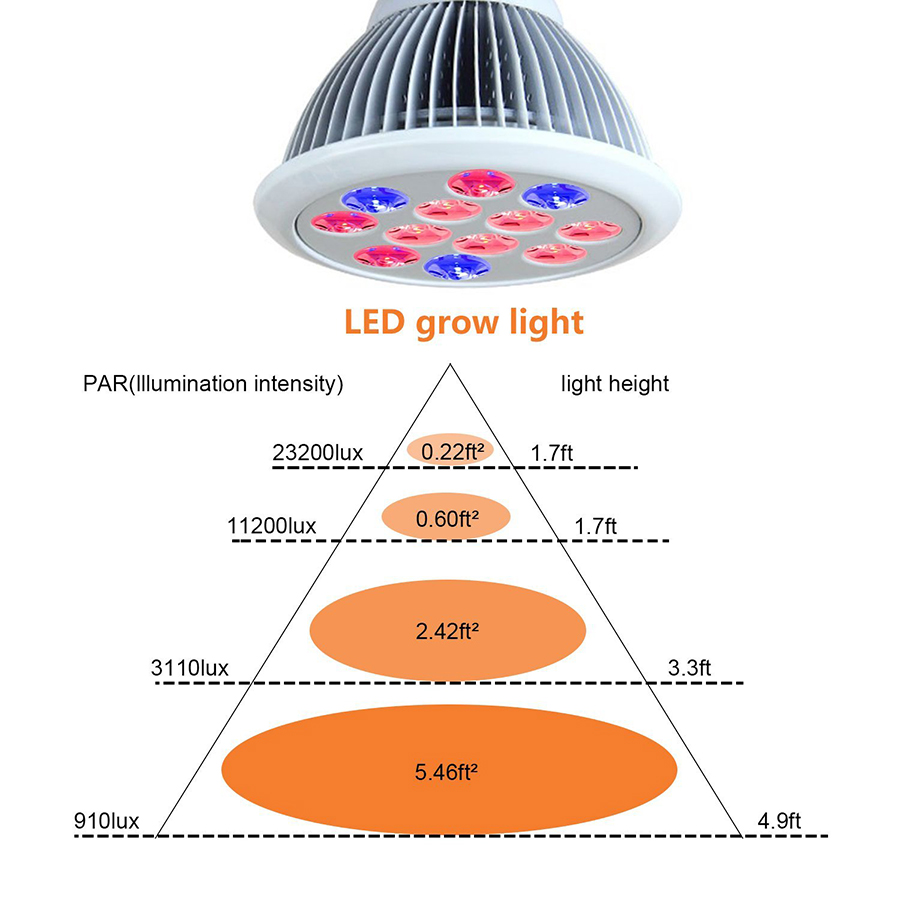 12W-24W-36W-Led-Grow-Light-Full-Spectrum-12-PCS-LED-Growth-Lamp-Ultra-Bulb-For-Plants-All-Stages-1232132-9