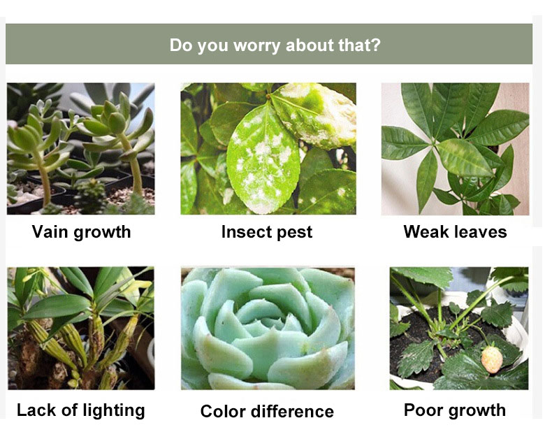 12W-Garden-Greenhouse-Full-Spectrum-LED-Grow-Light-Single-head-Clamp-Plants-Growth-Lamp-Flexible-Goo-1258587-3