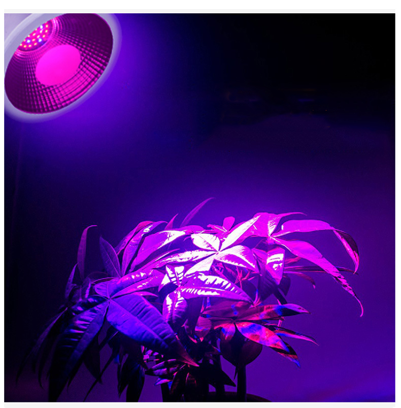 12W-Garden-Greenhouse-Full-Spectrum-LED-Grow-Light-Single-head-Clamp-Plants-Growth-Lamp-Flexible-Goo-1258587-4