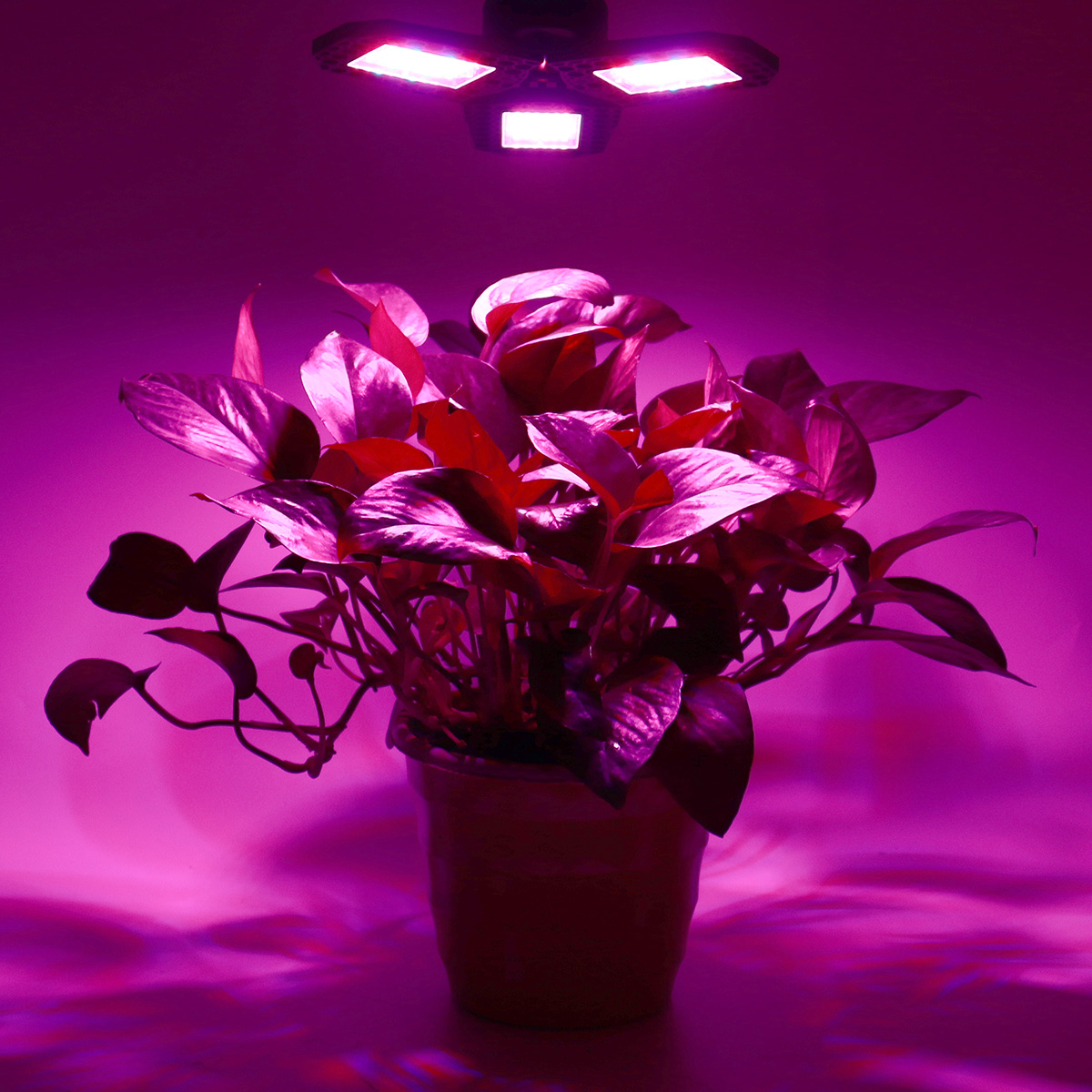 144-LED-Grow-Lights-Panel-Full-Spectrum-E27-LED-Plant-Growth-Greenhouse-Lamp-1707043-2