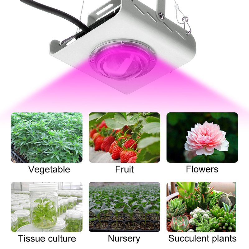 144LED-COB-Plant-Grow-Light-Full-Spectrum-380-800nm-4000K-Hydroponic-Growth-Lamp-1645852-5