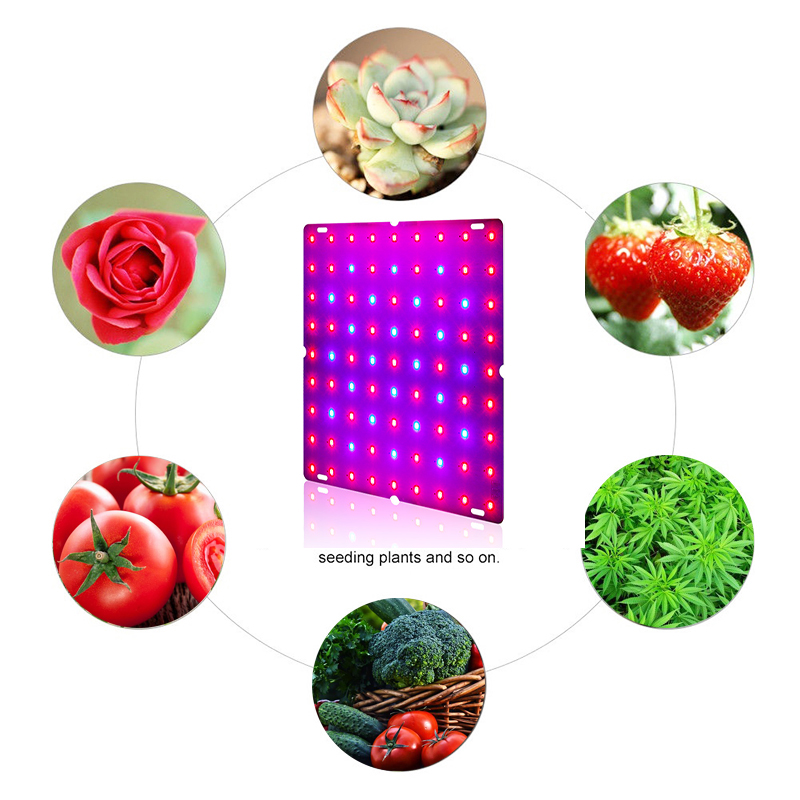 16981-LED-Plant-Grow-Light-Full-Spectrum-Indoor-Veg-Flower-Hydroponic-Lamp-85-265V-1748585-4