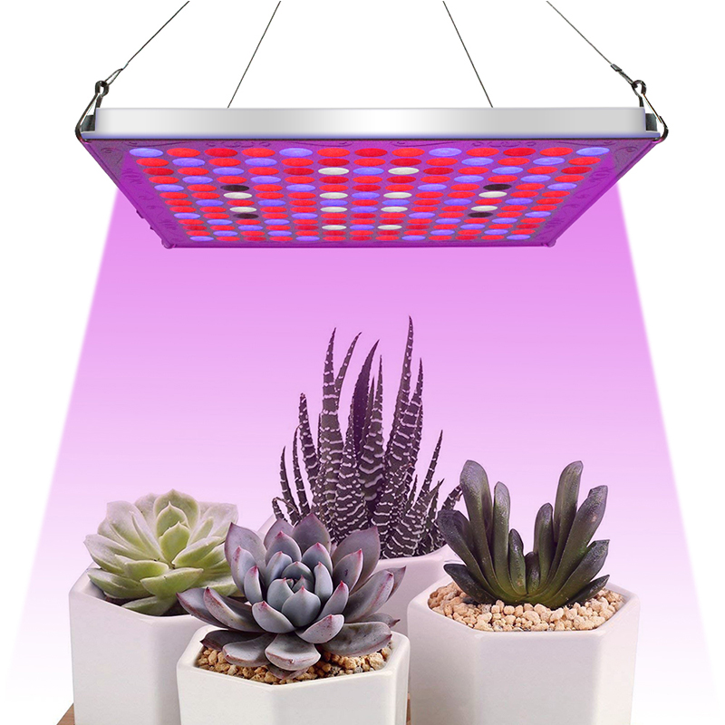 169LED-LED-Grow-Plant-Light-Full-Spectrum-Hydroponic-Panel-Lamp-Growing-Indoor-1816512-5