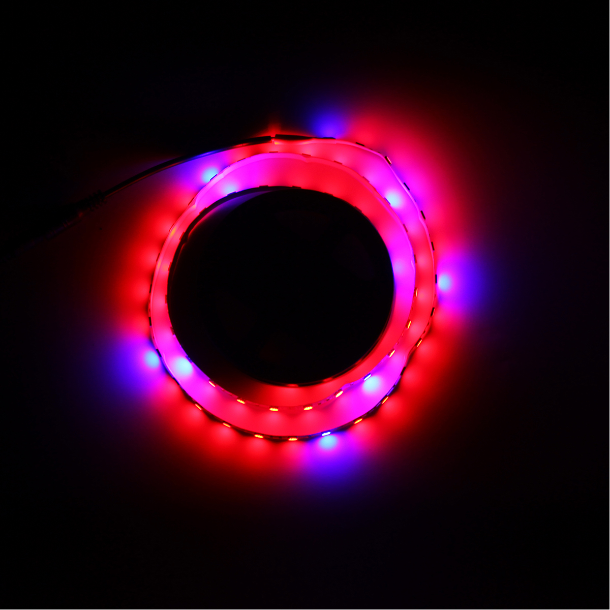 1M-SMD5050-RedBlue-51-Full-Spectrum-LED-Grow-Strip-Light--Hydroponic-Greenhouse-Plant-DC12V-1253137-6