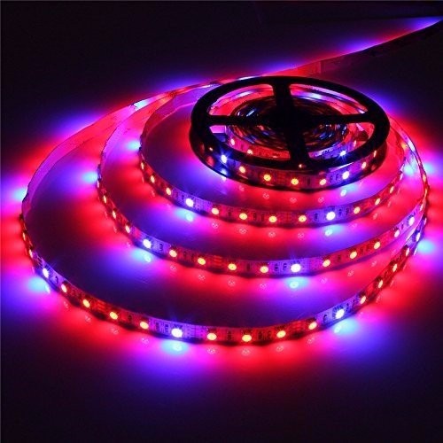 1M2M3M4M5M-SMD5050-Non-Waterproof-LED-Grow-Lights-Full-Spectrum-Plant-Strip-Lamp-DC12V-1116010-1