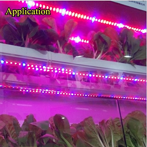 1M2M3M4M5M-SMD5050-Non-Waterproof-LED-Grow-Lights-Full-Spectrum-Plant-Strip-Lamp-DC12V-1116010-10