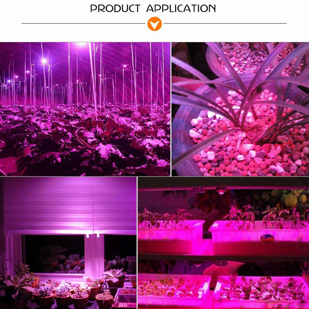 20W-30W-50W-Waterproof-LED-Chip-with-Lens-Reflector-Full-Spectrum-Grow-Light-For-Plants-AC-110V220V-1329693-8