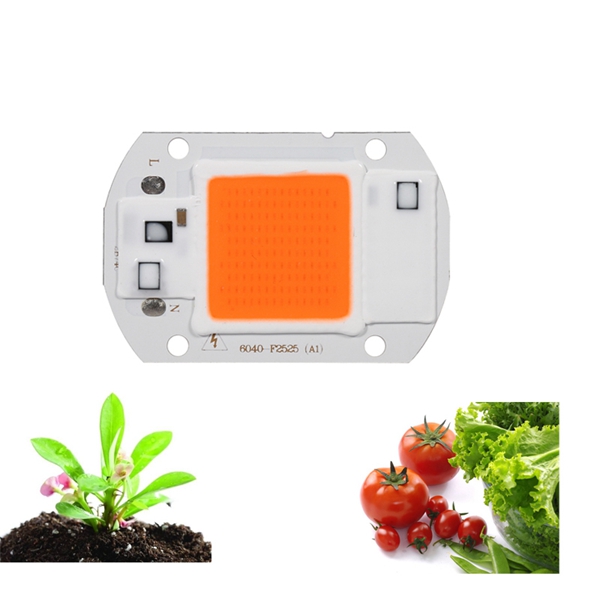 20W-LED-Full-Spectrum-Plant-Grow-Light-DIY-COB-Chip-AC220V-1152376-1