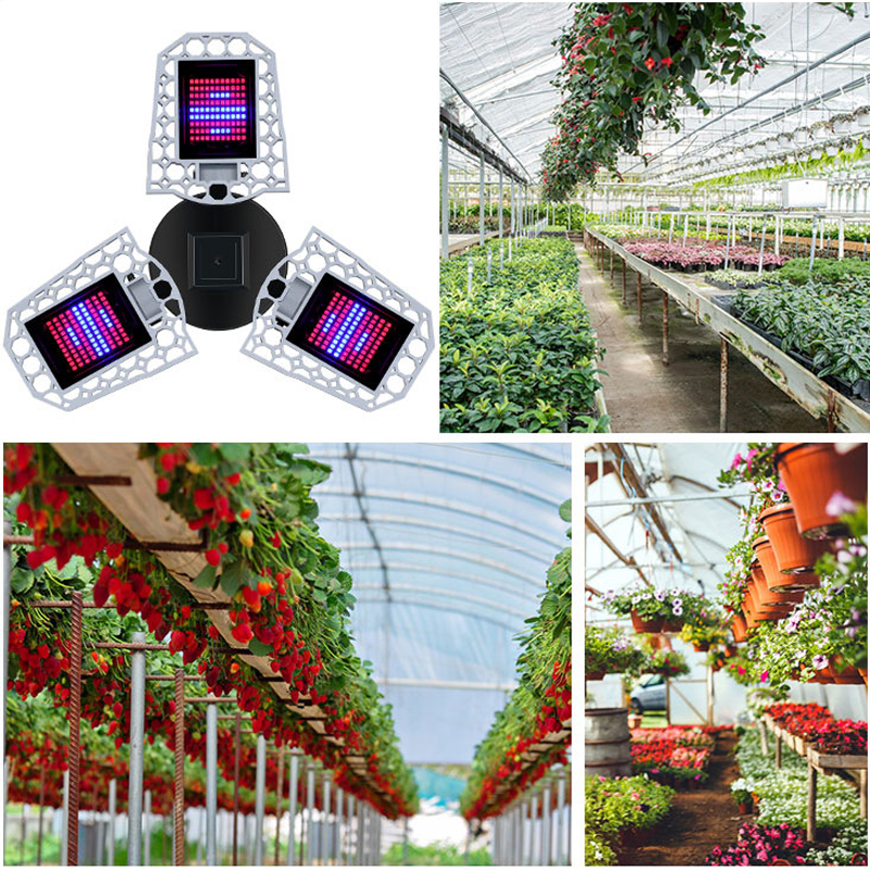 216297-LED-Grow-Light-Foldable-Red-and-Blue-Light-for-Nursery-Supplement-Light-E27-Waterproof-Plant--1755118-2