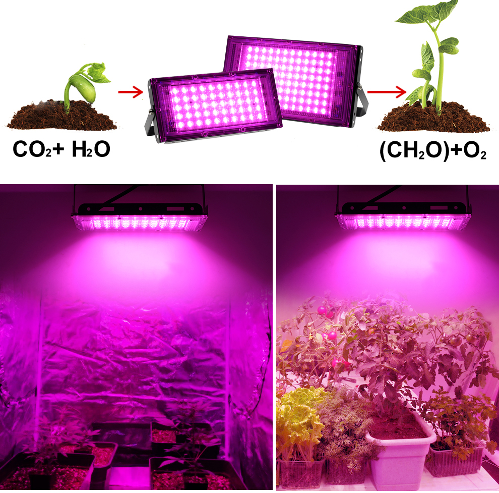 220V-LED-Grow-Light-Phytolamp-Plants-Full-Spectrum-LED-Floodlight-Flowers-Seedlings-Plant-Growing-Ph-1797450-3