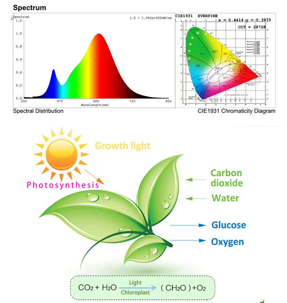 220V-LED-Grow-Light-Phytolamp-Plants-Full-Spectrum-LED-Floodlight-Flowers-Seedlings-Plant-Growing-Ph-1797450-9