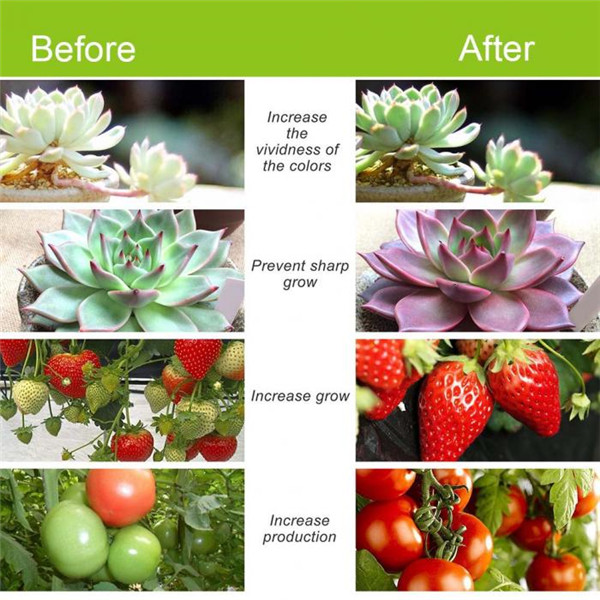 24W-Daul-Head-LED-Plant-Grow-Light-Flexible-Desk-Clip-Lamp-for-Vegetables-Fruits-Flowers-Hydroponics-1260340-9