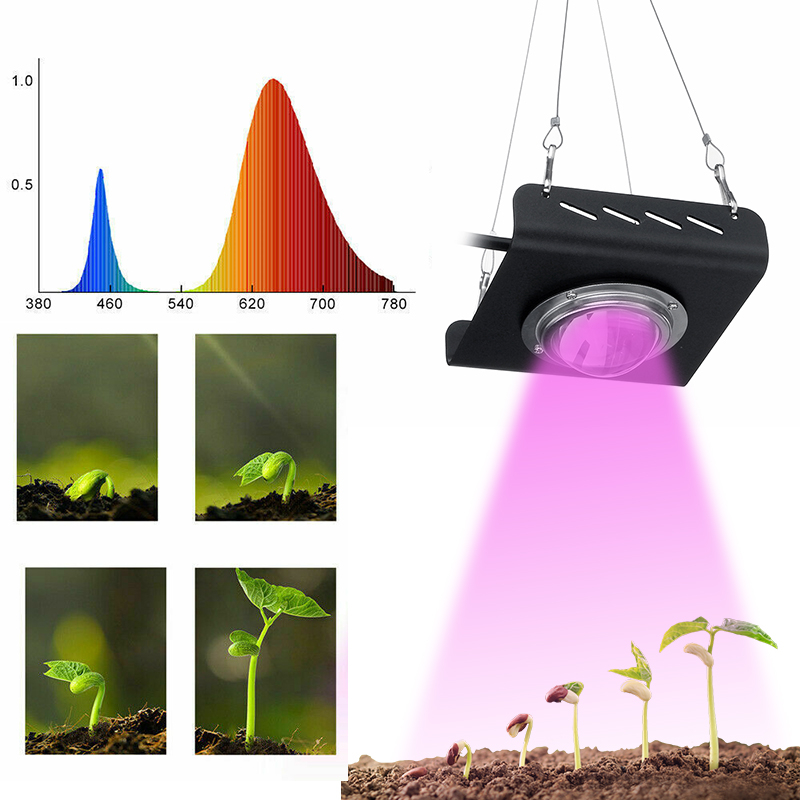 3000W-2600LM-144LED-COB-Grow-Light-Full-Spectrum-Lamp-Plant-Hydroponics-Flower-A-1697200-9