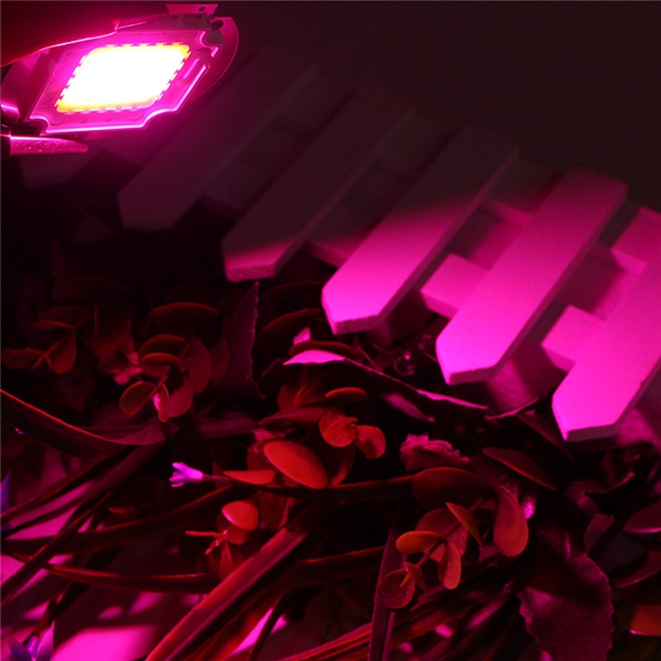 30W-Full-Spectrum-LED-COB-Chip-Plant-Grow-Light-AC220110V-1266591-7