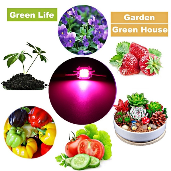 30W-Full-Spectrum-LED-COB-Chip-Plant-Grow-Light-AC220110V-1266591-10