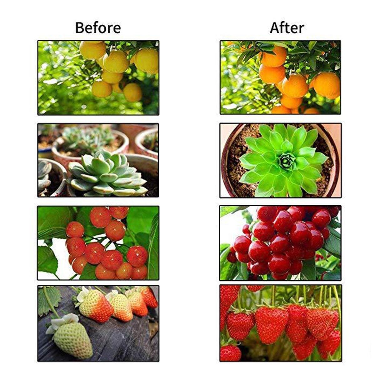 30W40W50W-LED-Plant-growth-Light-234-Leaf-Foldable-Sunlight-Plant-Growing-AC110265V-1742386-4