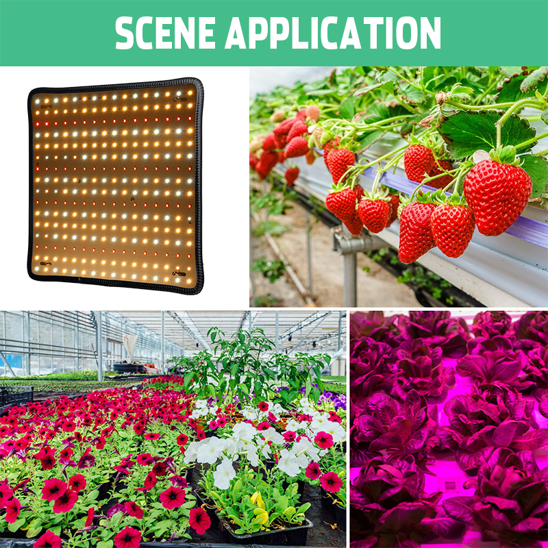 30cmx30cm-Spectrum-256-LED-Grow-Light-Growing-Lamp-For-Hydroponics-Flower-Plant-1795785-7
