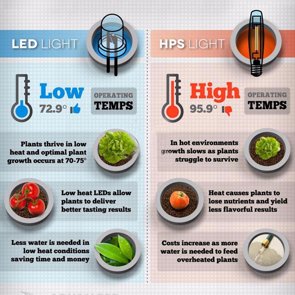 36W-E27-LED-Full-Spectrum-Grow-Light-Lamp-Blub-for-Indoor-Hydroponic-Plant-Flower-1162272-6