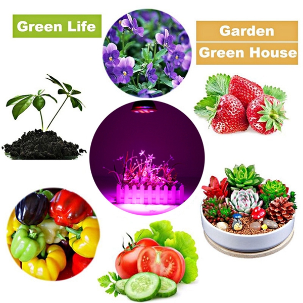 36W-E27-LED-Full-Spectrum-Grow-Light-Lamp-Blub-for-Indoor-Hydroponic-Plant-Flower-1162272-9
