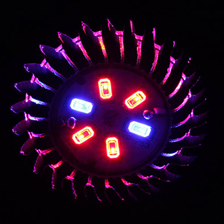 3W-E27-4-Red-2-Blue-Grow-LED-Convex-Mirror-Bulb-Greenhouse-Plant-Seedling-Growth-Light-1021391-3