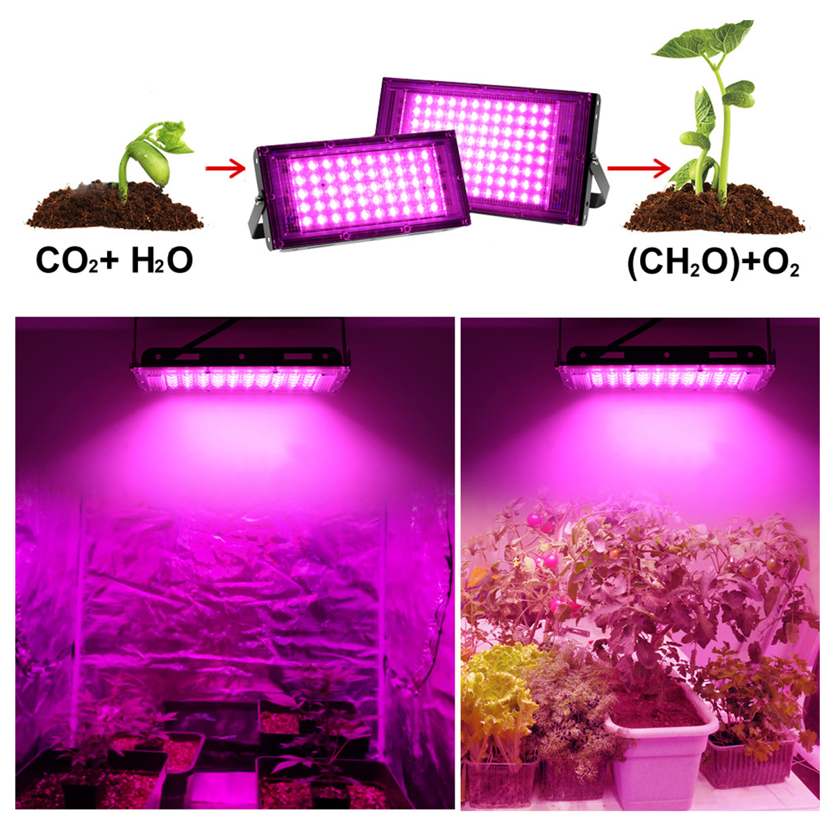 50100W-5096LED-220V-Full-Spectrum-Grow-Light-Plant-Growing-Lamp-Lights-With-Clip-For-Indoor-Plants-1800271-9