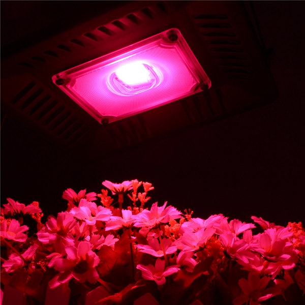 50W-Waterproof-Full-Spectrum-LED-Grow-Light-Single-Head-Hangable-COB-Plant-Lamp-110220V-1291129-1