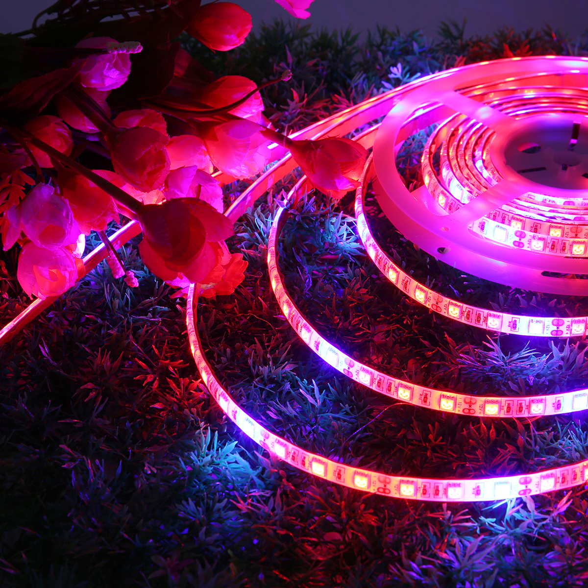 5M-SMD5050-Waterproof-Full-Spectrum-LED-Plant-Grow-Strip-Light-for-Greenhouse-Aquarium-DC12V-1231068-9