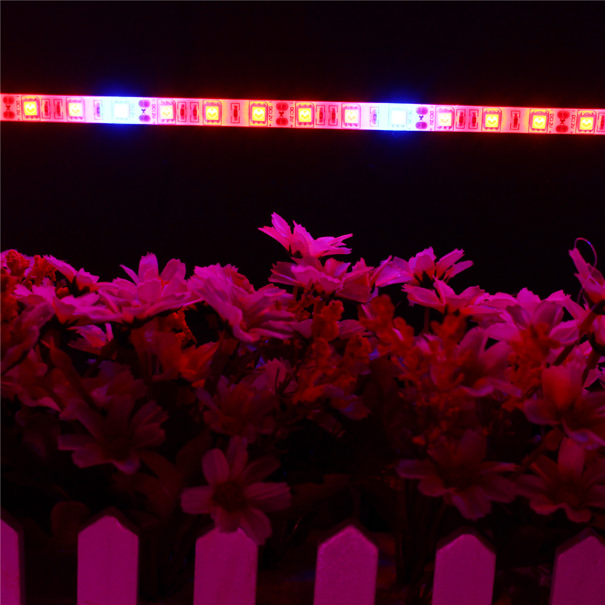 5PCS-50CM-5050-Waterproof-LED-Grow-Light-Strip-Lamp-Power-Adpater-for-Veg-Flower-Plant-DC12V-1290741-9