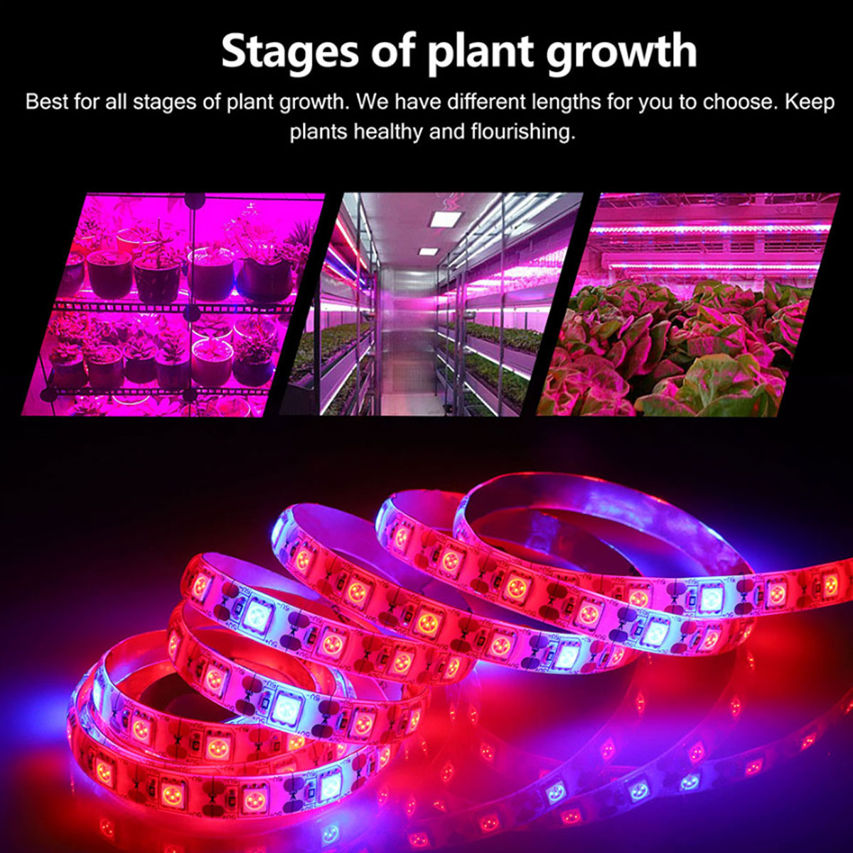 5V-Plant-Grow-5050-LED-Light-Strip-Garden-Hydroponics-Flowers-Growing-Full-Spectrum-1745035-2