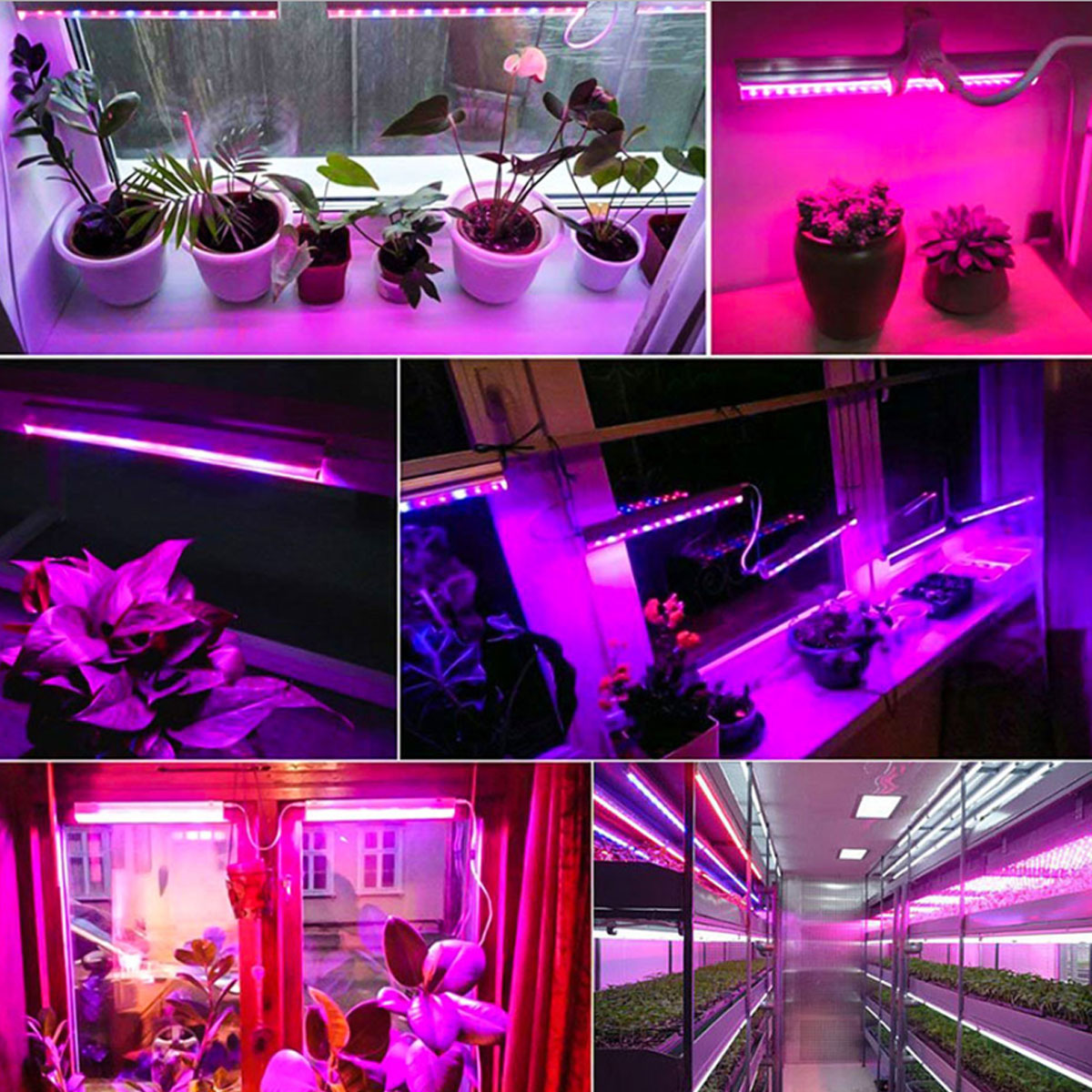 5V-Plant-Grow-5050-LED-Light-Strip-Garden-Hydroponics-Flowers-Growing-Full-Spectrum-1745035-3