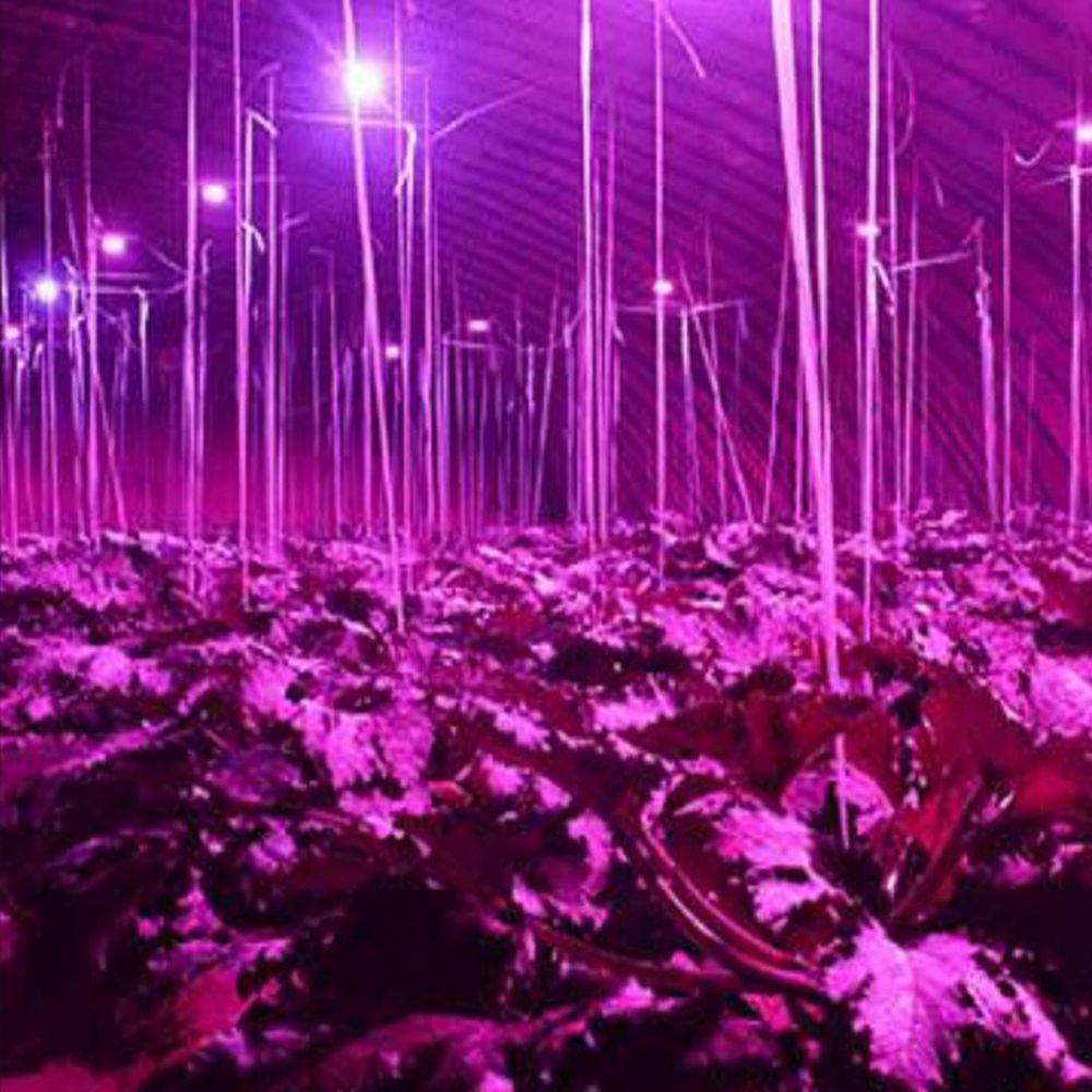 5W-E27-5730-Full-Spectrum-10-LED-Grow-Light-Bulb-RebBlue-41-for-Tent-Indoor-Greenhouse-AC100-265V-1302537-3