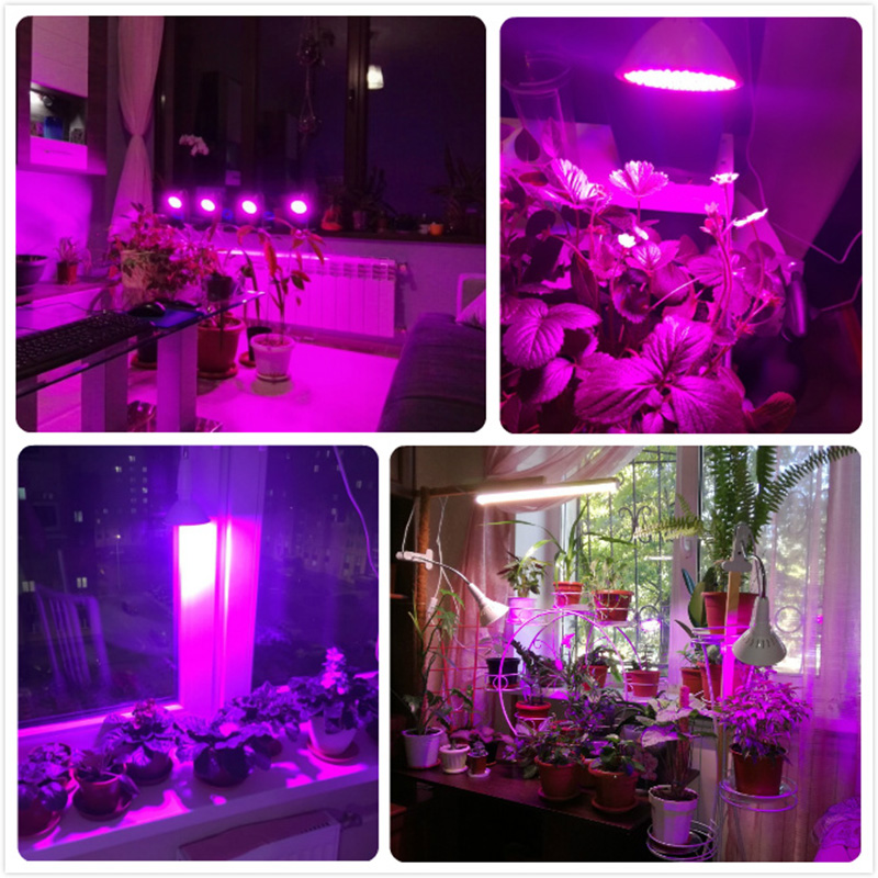 60-126-200-LED-Plant-Grow-Light-Bulb-360-Desk-Chip-Flexible-Growth-Lamp-for-Greenhouse-Flower-1261871-5